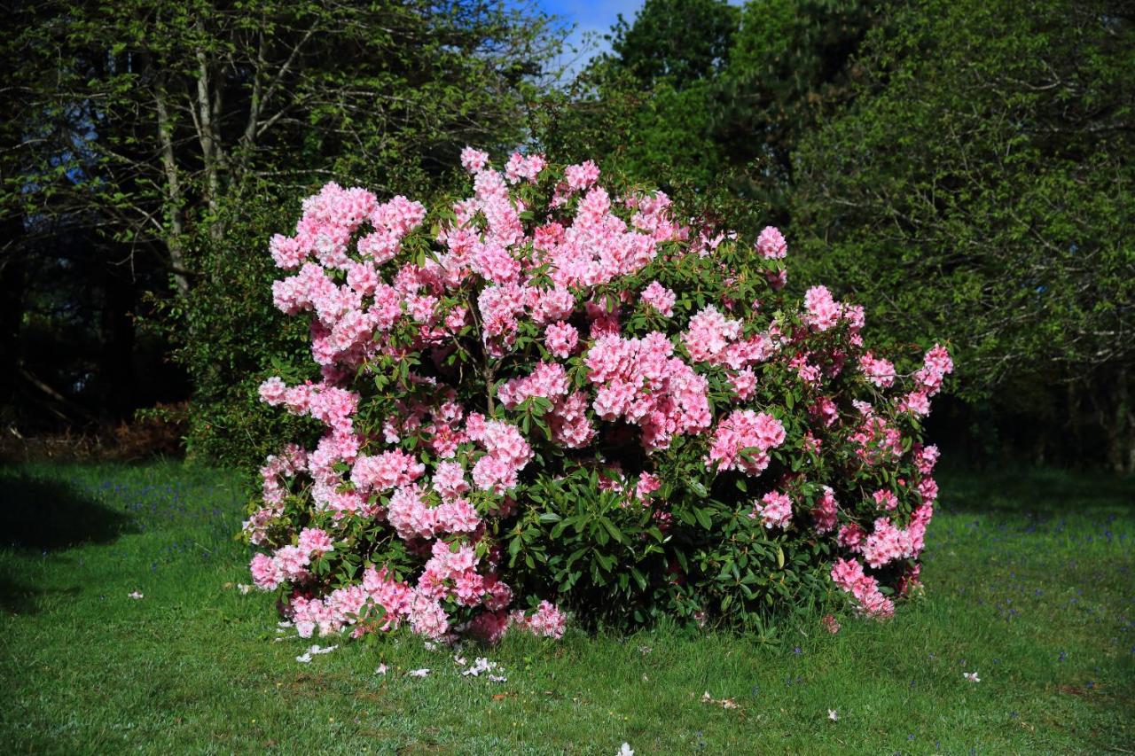 Ploulech Aux Arbres Chanteurs מראה חיצוני תמונה