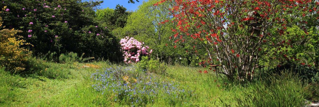 Ploulech Aux Arbres Chanteurs מראה חיצוני תמונה