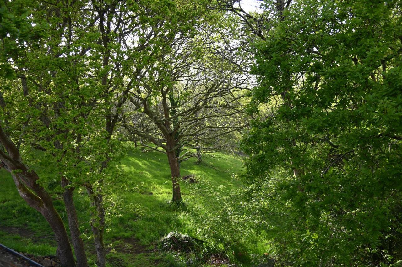 Ploulech Aux Arbres Chanteurs מראה חיצוני תמונה